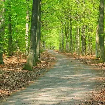 Bb-hotel Bornholm Hotel