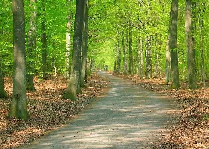 Bb-hotel Bornholm ホテル